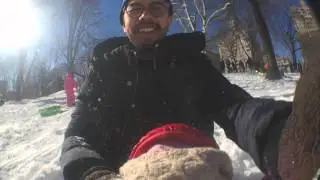 Snow Storm Jonas: The Morning After