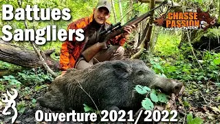 Chasse aux sangliers en Battue - Ouverture 2021/2022