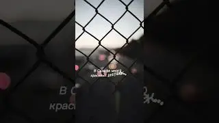 Но они))