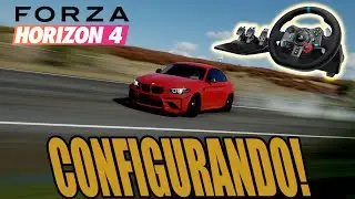 How to configure the (G27/G29/G920) in Forza Horizon 4