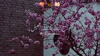 Hajrat Ali Said 💐 | Trending shayari 2024 | Islamic shayari | Shayari videos #shorts