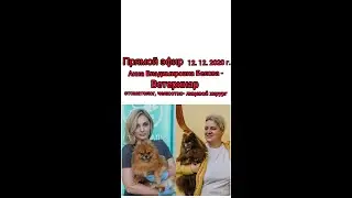 Еханна и разговор с Ветеринаром