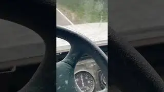 Кто куда, а мы в болото) 