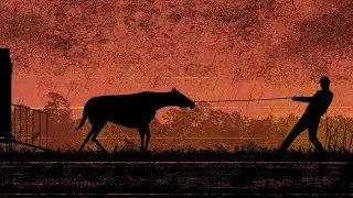 Stop Horse Smuggling: Rosie's story
