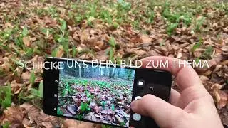 Foto-Wettbewerb
