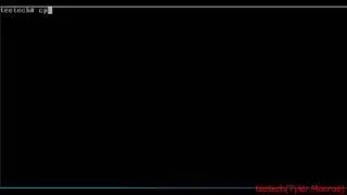 NetBSD Nginx Web Server Setup