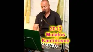 2013 Mulatós kantinosné