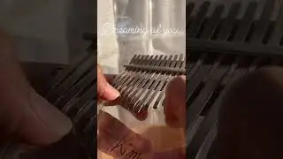 Selena - Dreaming of You on kalimba