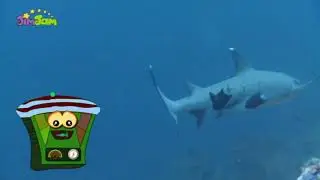 Животные мои друзья 3 сезон 26 эп. (познавательные передачи для детей с анимацией) на русском