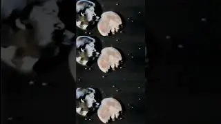 Who are you singing this to?