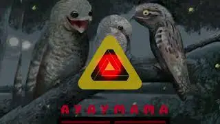 Depertzold - Ayaymama (Original Mix)(Nictibio Urutaú)