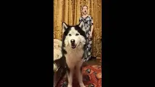 Катя и Пират. Дуэт "Карантин"
