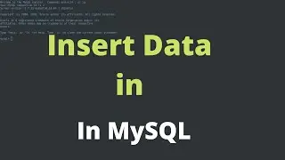 3 ) How to work with table in MySQL