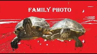 A Turtle Tub Family Photo