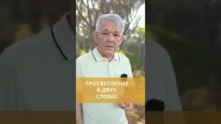 Просветление в двух словах.