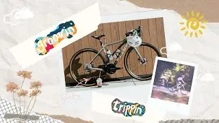 Are you Trippin’ or Groovin’?