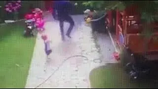 Отцовские рефлексы