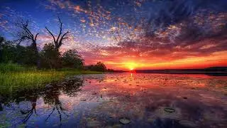 Lotus Lake ~ Beautiful Relaxing Flute Music with Nature Sounds