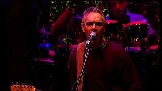 Birtles/Shorrock/Goble: 'Curiosity Killed the Cat' - 'Full Circle - Live in Melbourne (2003)