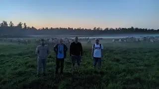 koni poni naliboki)