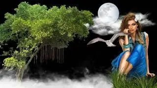 Nature Video Background/ Background Animation Effects/ Black Background Effects Video/ Vfx Video