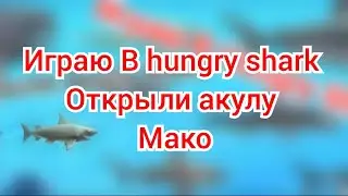 #HangryShark