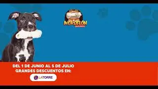MORDELON