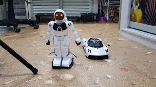 Радиоуправляемая машинка Mobicaro (Pagani Huayra)