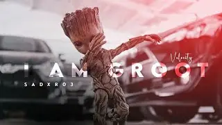 I'm Groot credit SADXRO3