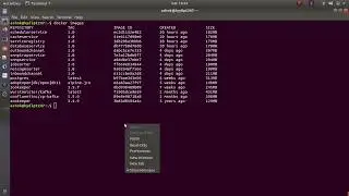 Docker tag command