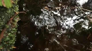 brook sounds