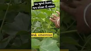 જય પરિવર્તન રિઝલ્ટ મો. 6354195365 