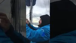 Кто кого должен пропускать | Яхтенная школа в Стамбуле #яхтингвтурции #yachting  #морскаяпрактика
