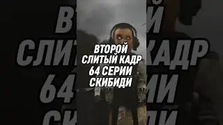 ВТОРОЙ СЛИТЫЙ КАДР 64 СЕРИИ СКИБИДИ 