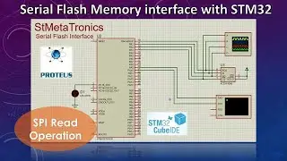 SPI Read | Serial Flash Memory Interface with STM32 | STM32 Microcontroller project | SPI Protocol