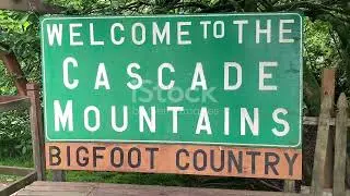 The truth behind Bigfoot sightings
