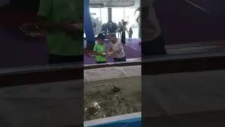 Shark Dancing