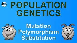 Mutation, polymorphism, and substitution | EvolutionExamples