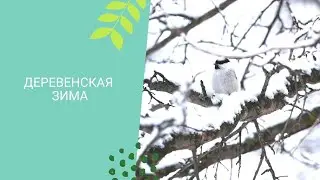 Просто зима в деревне 2022
