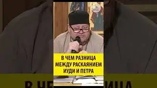 Разница между раскаянием Иуды и Петр. Священник Олег Стеняев 