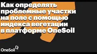 Как определять проблемные участки на поле с помощью индекса вегетации в платформе OneSoil
