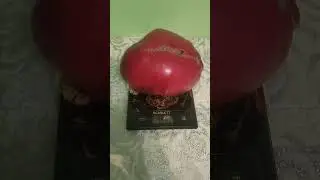 Красавец и красавица