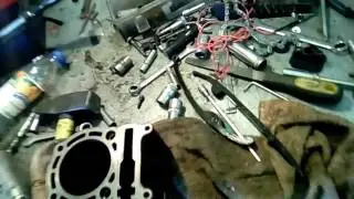 Двигатель stels 300