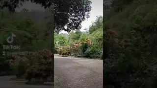soroy  soroy bukid sa sugbo