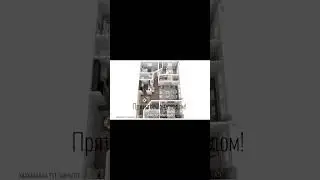 Спрятьтесь от розовой капибары 