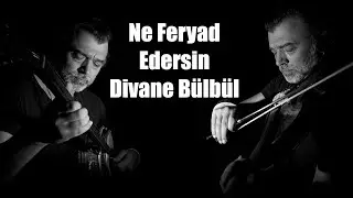 Ne Feryad Edersin Divane Bülbül - Volkan Gümüşlü