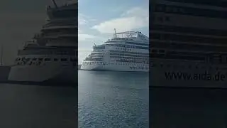Cruise at sea