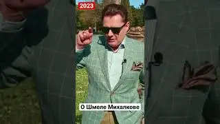 Понасенков: О Шмеле Михалкове 