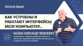 Интерфейсы мозг—компьютер.  Александр Каплан