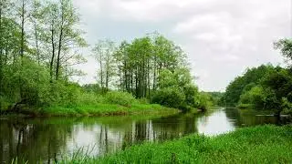 Цыганская песня 